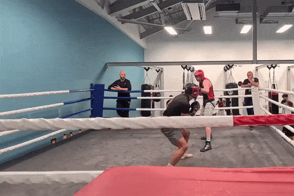 two boxers doing boxing sparring
